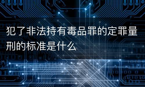 犯了非法持有毒品罪的定罪量刑的标准是什么