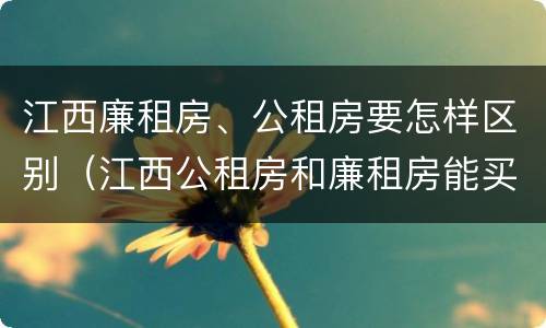 江西廉租房、公租房要怎样区别（江西公租房和廉租房能买吗）