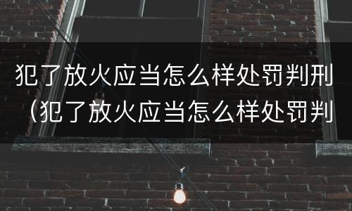 犯了放火应当怎么样处罚判刑（犯了放火应当怎么样处罚判刑吗）