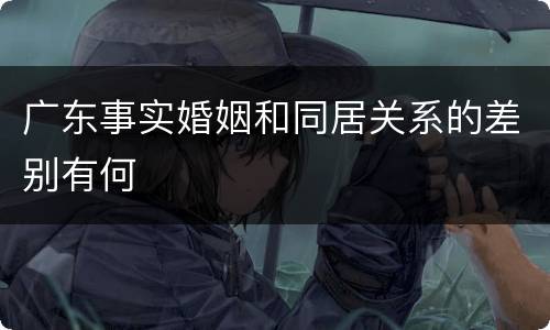 广东事实婚姻和同居关系的差别有何