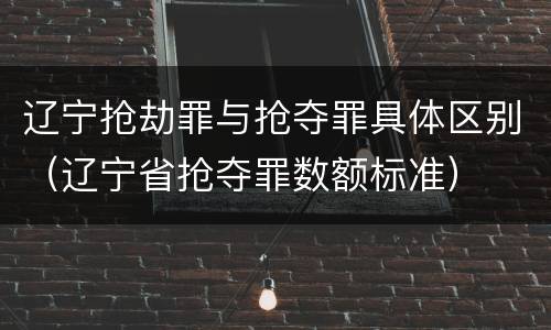 辽宁抢劫罪与抢夺罪具体区别（辽宁省抢夺罪数额标准）