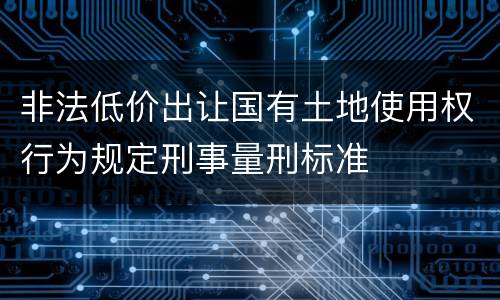 非法低价出让国有土地使用权行为规定刑事量刑标准