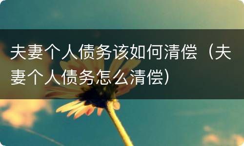 夫妻个人债务该如何清偿（夫妻个人债务怎么清偿）