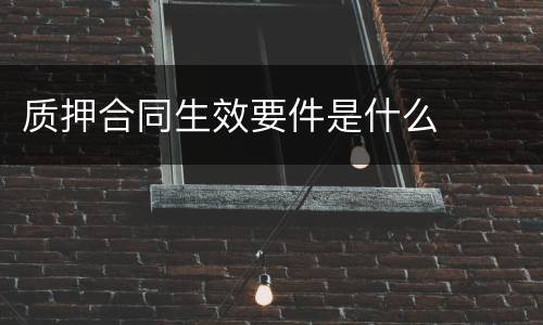 质押合同生效要件是什么