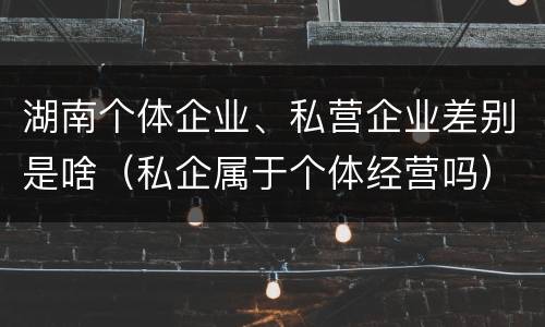 湖南个体企业、私营企业差别是啥（私企属于个体经营吗）