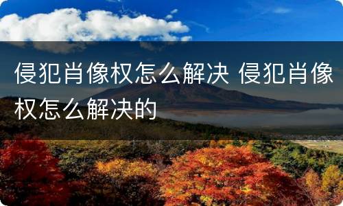 侵犯肖像权怎么解决 侵犯肖像权怎么解决的