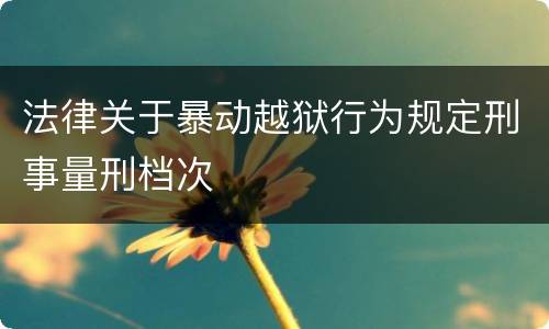 法律关于暴动越狱行为规定刑事量刑档次