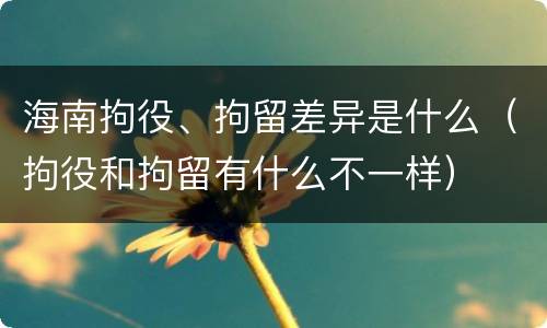 海南拘役、拘留差异是什么（拘役和拘留有什么不一样）