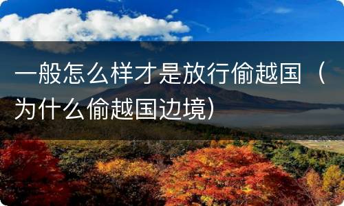 一般怎么样才是放行偷越国（为什么偷越国边境）