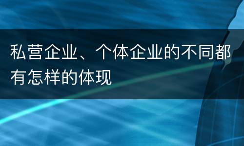 私营企业、个体企业的不同都有怎样的体现