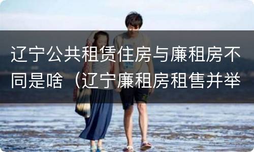 辽宁公共租赁住房与廉租房不同是啥（辽宁廉租房租售并举）