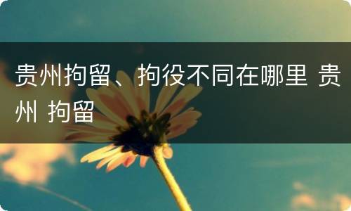 贵州拘留、拘役不同在哪里 贵州 拘留