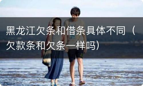 黑龙江欠条和借条具体不同（欠款条和欠条一样吗）