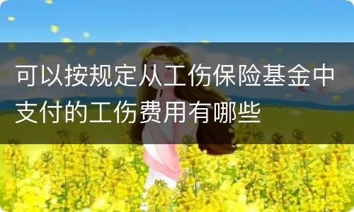 可以按规定从工伤保险基金中支付的工伤费用有哪些