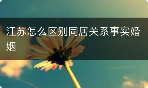 江苏怎么区别同居关系事实婚姻
