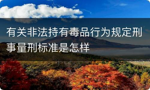 有关非法持有毒品行为规定刑事量刑标准是怎样