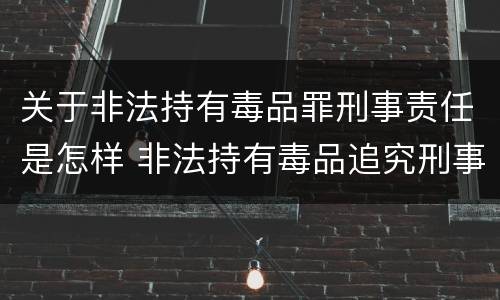 关于非法持有毒品罪刑事责任是怎样 非法持有毒品追究刑事责任吗