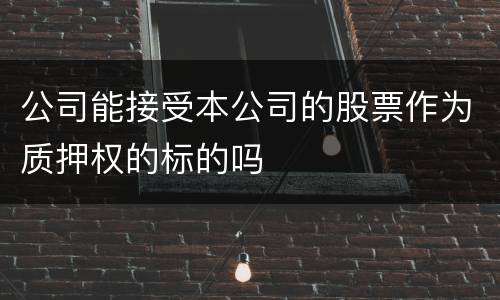 公司能接受本公司的股票作为质押权的标的吗