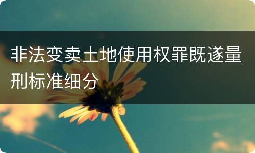 非法变卖土地使用权罪既遂量刑标准细分