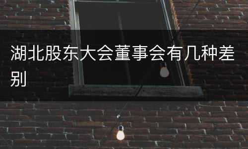 湖北股东大会董事会有几种差别