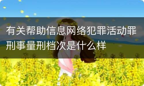 有关帮助信息网络犯罪活动罪刑事量刑档次是什么样