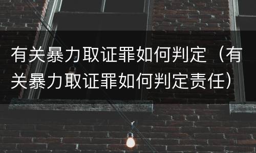 有关暴力取证罪如何判定（有关暴力取证罪如何判定责任）