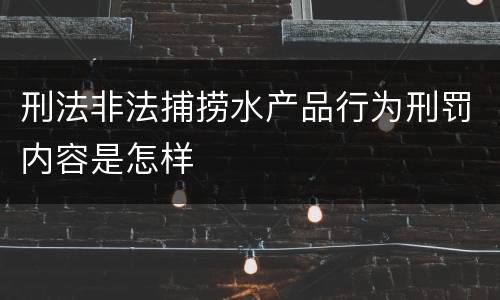 刑法非法捕捞水产品行为刑罚内容是怎样