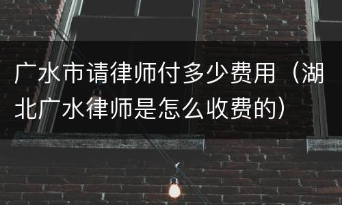广水市请律师付多少费用（湖北广水律师是怎么收费的）