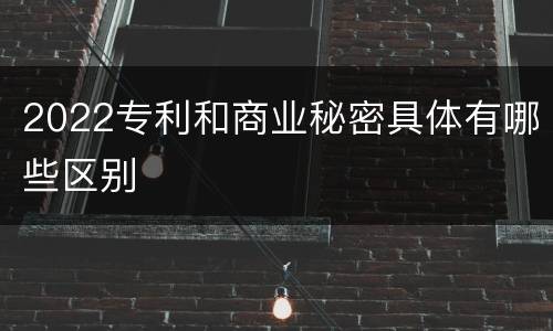 2022专利和商业秘密具体有哪些区别