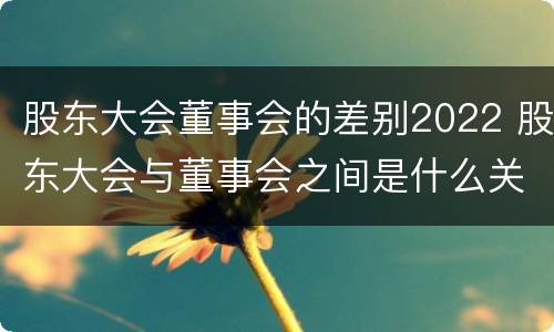 股东大会董事会的差别2022 股东大会与董事会之间是什么关系