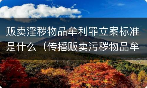 贩卖淫秽物品牟利罪立案标准是什么（传播贩卖污秽物品牟利罪立案标准）