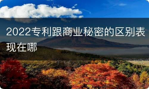 2022专利跟商业秘密的区别表现在哪