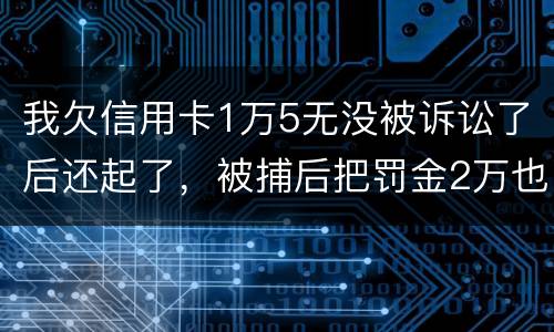 我欠信用卡1万5无没被诉讼了后还起了，被捕后把罚金2万也给了，什么时候放人呀
