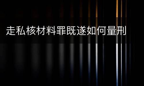 走私核材料罪既遂如何量刑