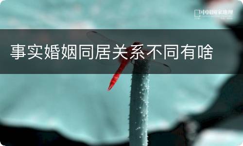 事实婚姻同居关系不同有啥