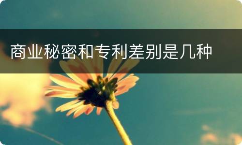 商业秘密和专利差别是几种