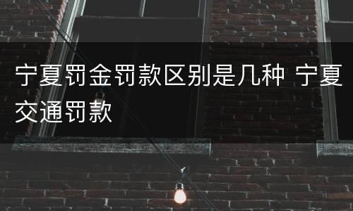 宁夏罚金罚款区别是几种 宁夏交通罚款