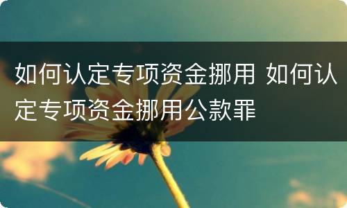 如何认定专项资金挪用 如何认定专项资金挪用公款罪