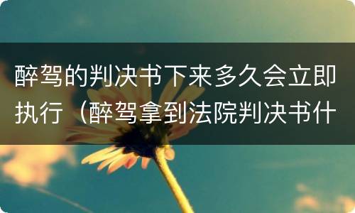 醉驾的判决书下来多久会立即执行（醉驾拿到法院判决书什么时候执行）