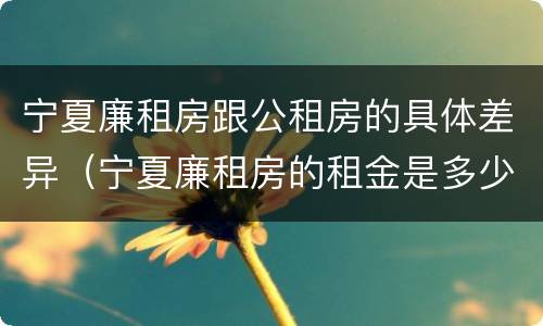 宁夏廉租房跟公租房的具体差异（宁夏廉租房的租金是多少钱）