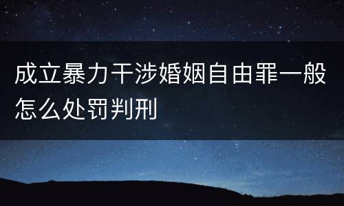 成立暴力干涉婚姻自由罪一般怎么处罚判刑