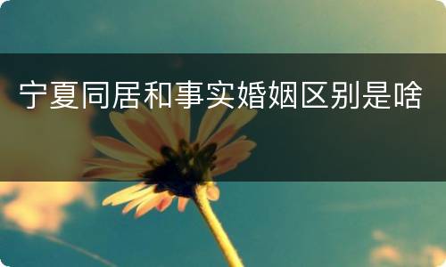 宁夏同居和事实婚姻区别是啥