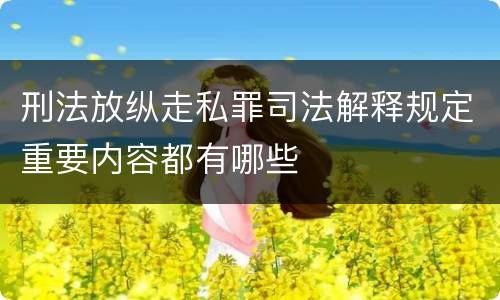 刑法放纵走私罪司法解释规定重要内容都有哪些