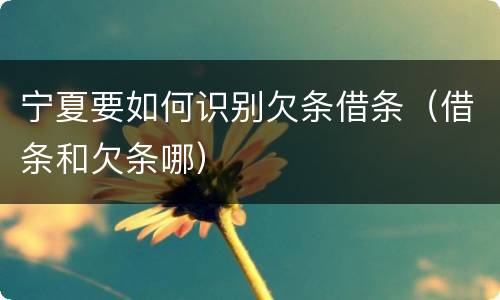 宁夏要如何识别欠条借条（借条和欠条哪）