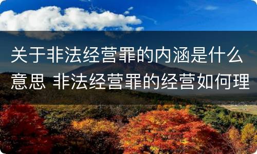 关于非法经营罪的内涵是什么意思 非法经营罪的经营如何理解