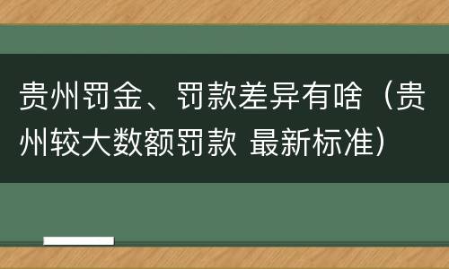 贵州罚金、罚款差异有啥（贵州较大数额罚款 最新标准）