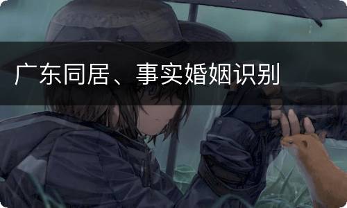 广东同居、事实婚姻识别