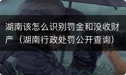 湖南该怎么识别罚金和没收财产（湖南行政处罚公开查询）
