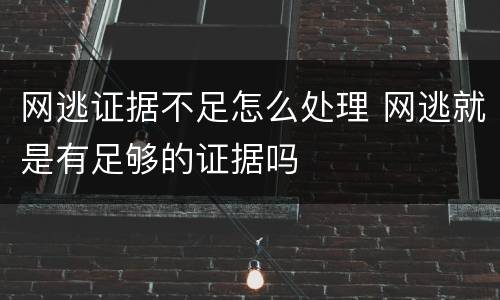 网逃证据不足怎么处理 网逃就是有足够的证据吗