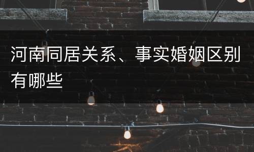 河南同居关系、事实婚姻区别有哪些